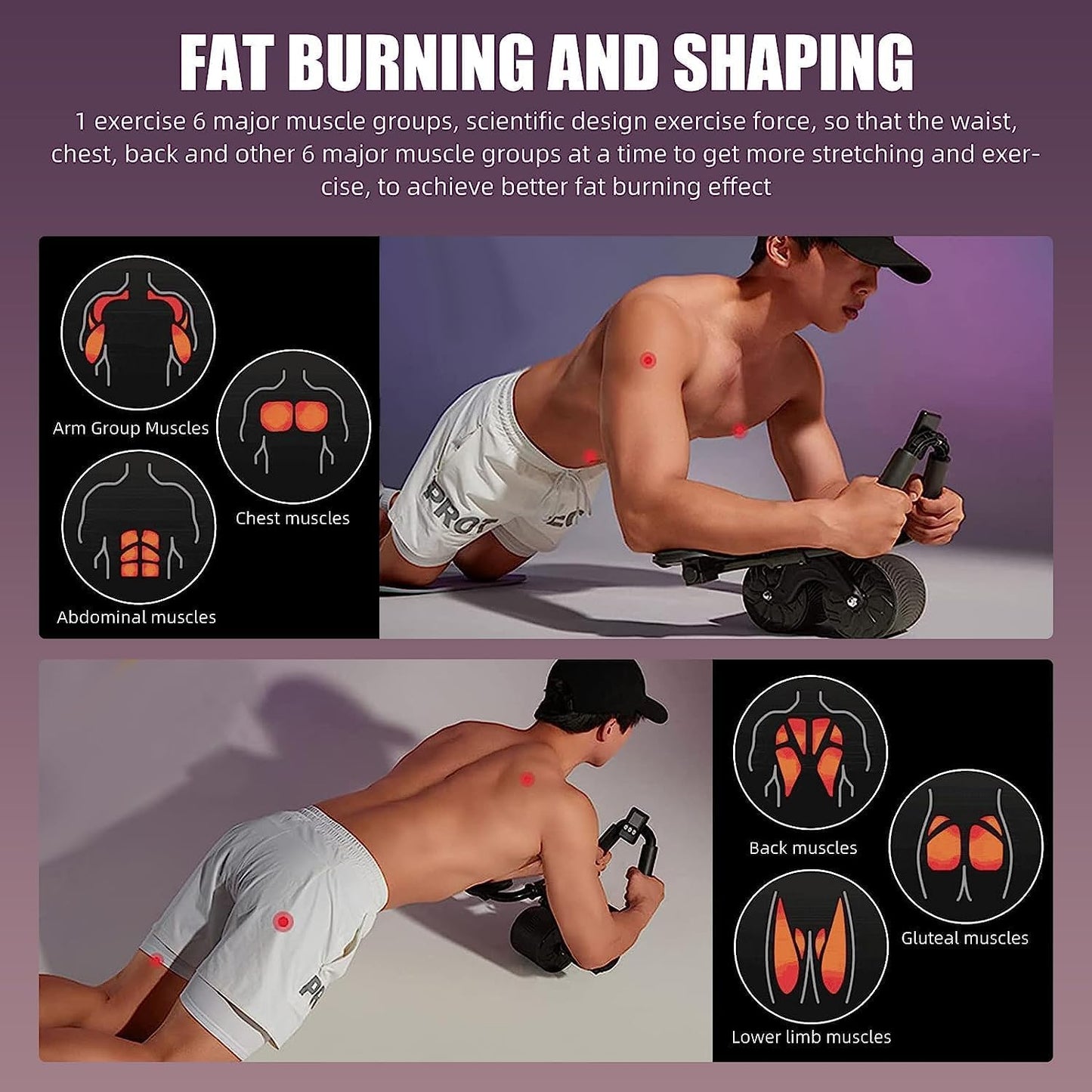 AbFlex Pro Ab Roller System